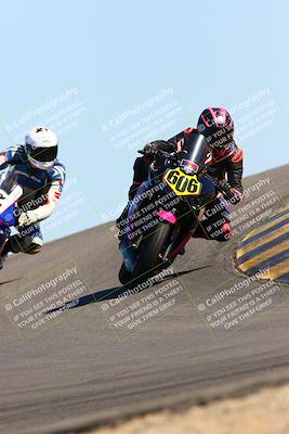 media/Feb-12-2022-SoCal Trackdays (Sat) [[3b21b94a56]]/Turn 12 (140pm)/